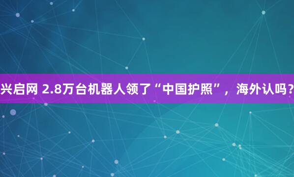 兴启网 2.8万台机器人领了“中国护照”，海外认吗？