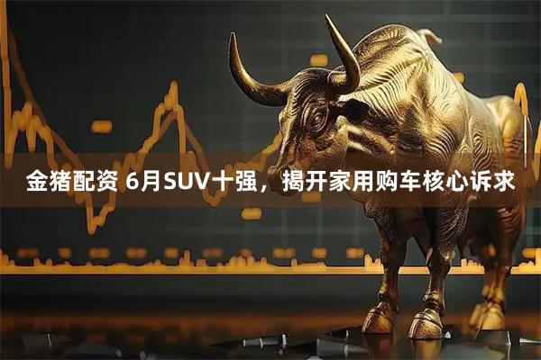 金猪配资 6月SUV十强,揭开家用购车核心诉求