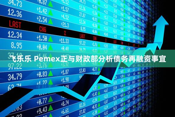飞乐乐 Pemex正与财政部分析债务再融资事宜
