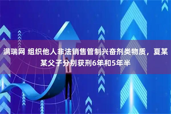 满瑞网 组织他人非法销售管制兴奋剂类物质，夏某某父子分别获刑6年和5年半